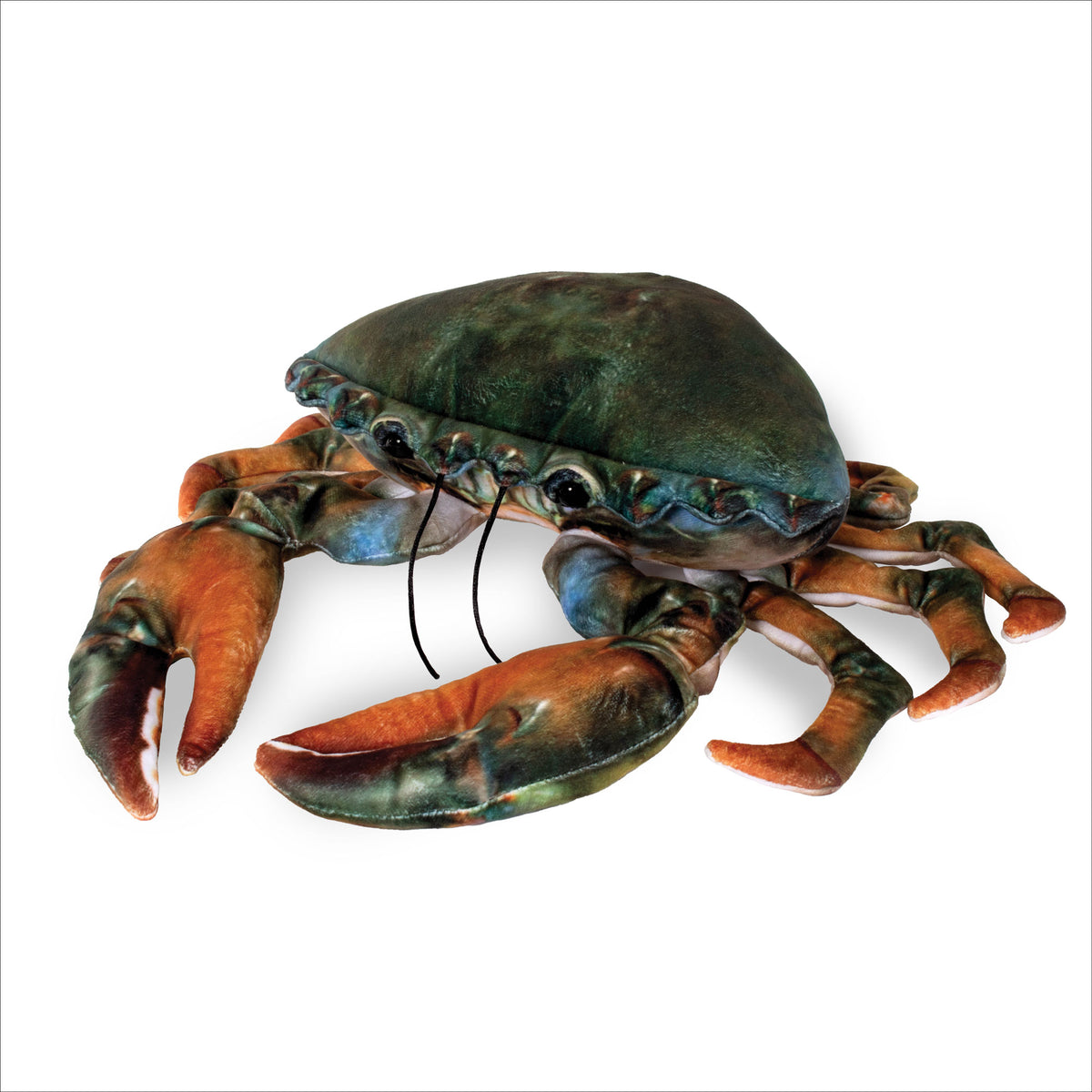 Real Planet™ Blue Crab Realistic Plush Stuffed Animal – Real