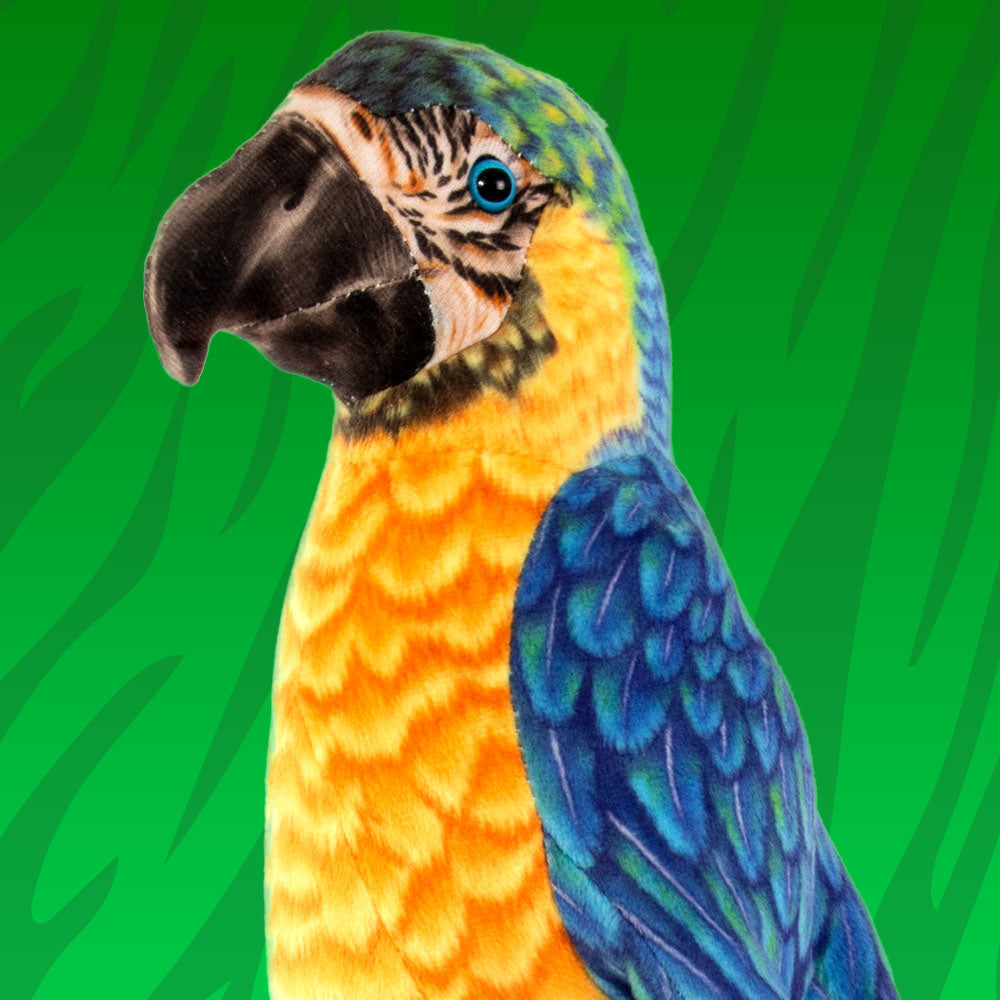 🐧🐦 Real Birds Collection 🐓🦅 Real Toys