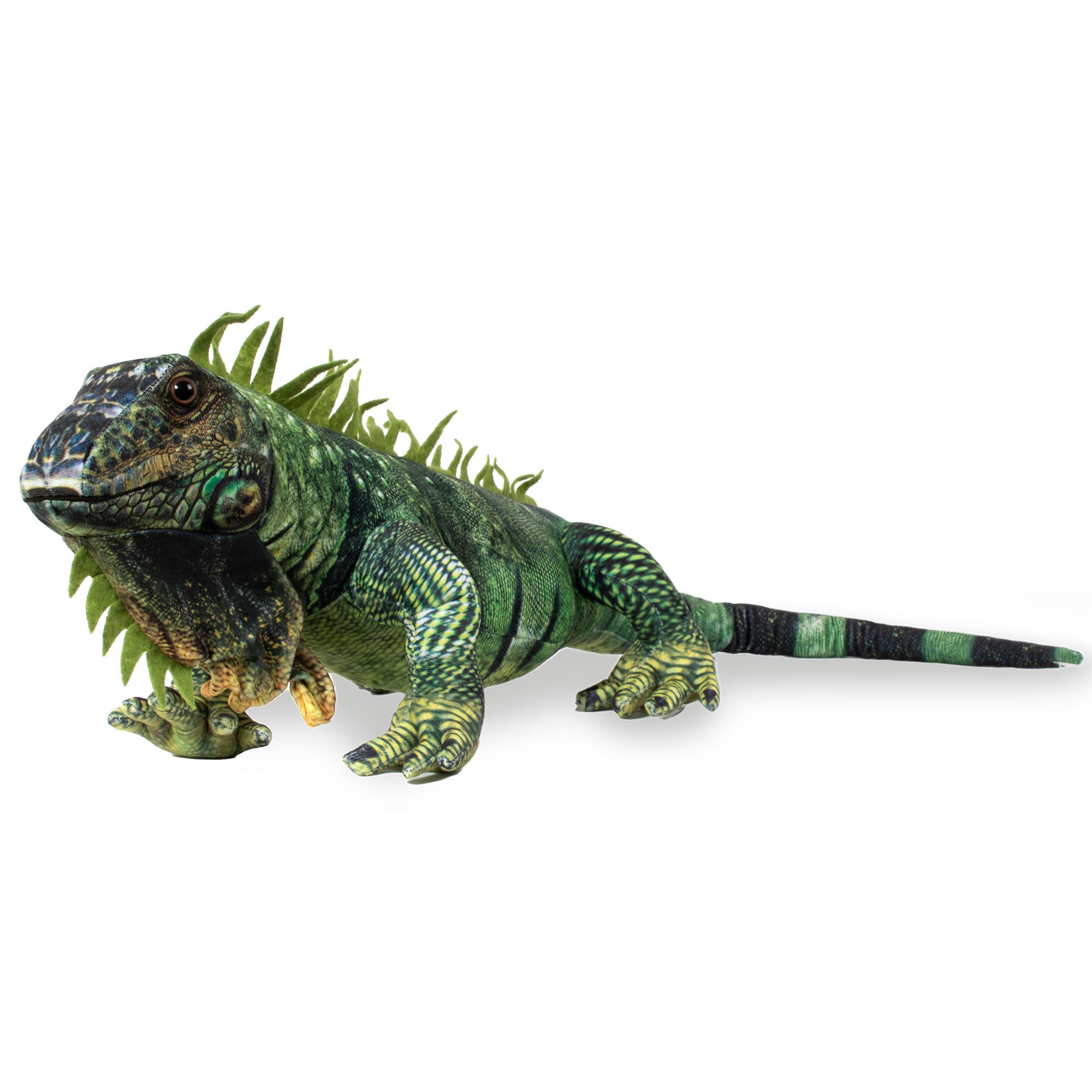 Real Planet™ Green Iguana Realistic Plush Stuffed Animal – Real